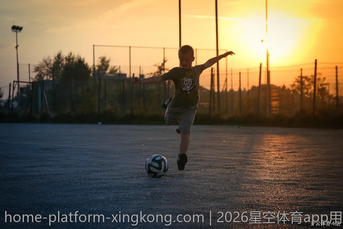 2026星空体育app用户体验，满意度调查结果